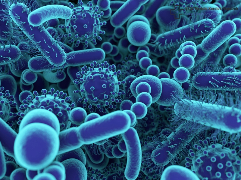 What is typhoid fever and how to treat it?