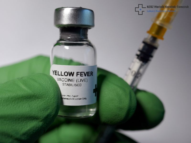 What is Yellow Fever and How to Protect Yourself From It?