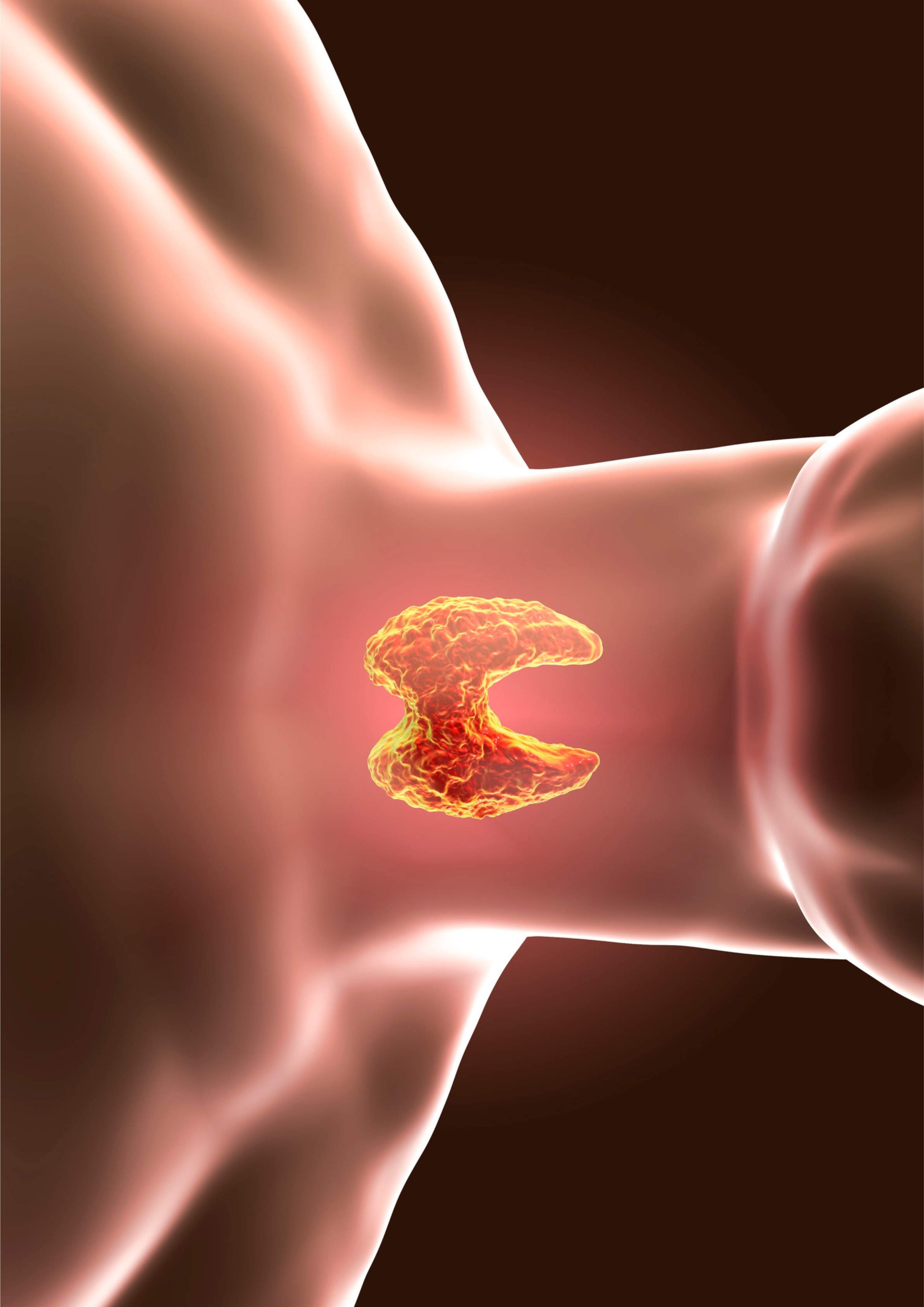 What Thyroid Tests are Worth Doing?