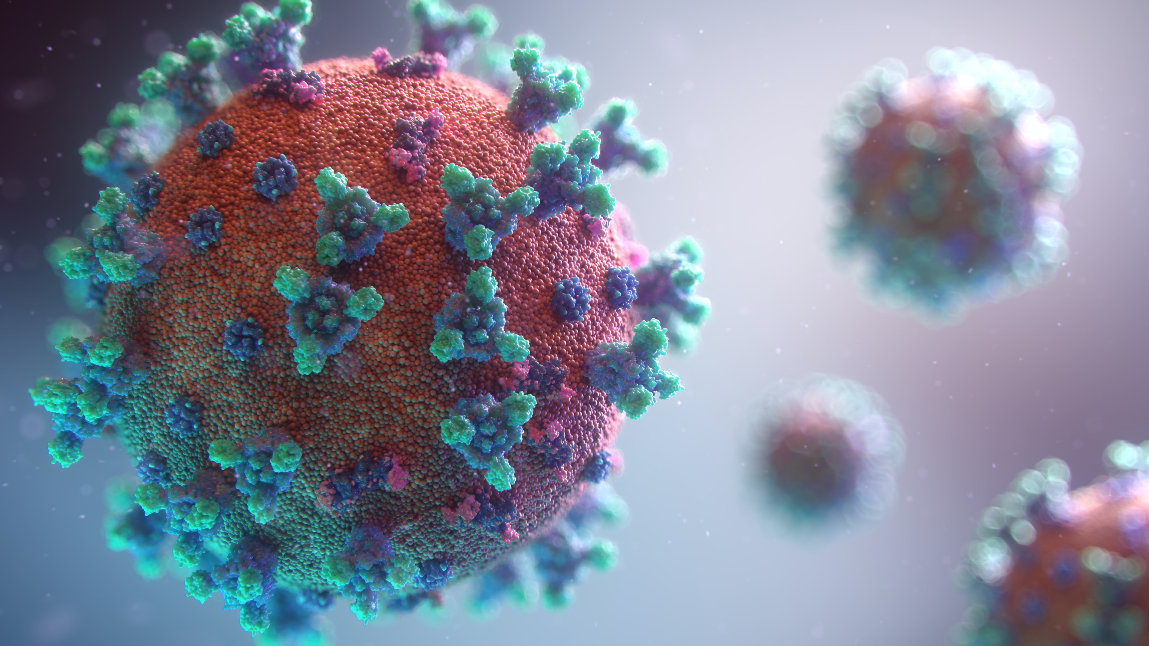 COVID-19 Variants - Why Does the Coronavirus Mutate?